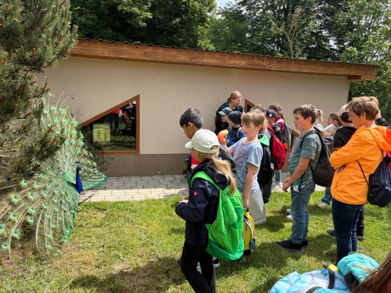 Tschechischausflug